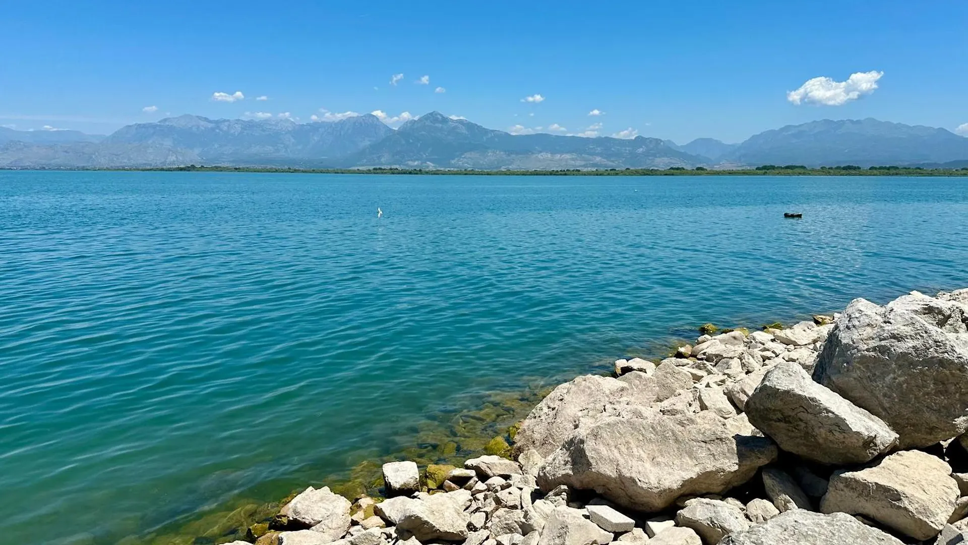 Affittacamere Three Brothers Široka Albania
